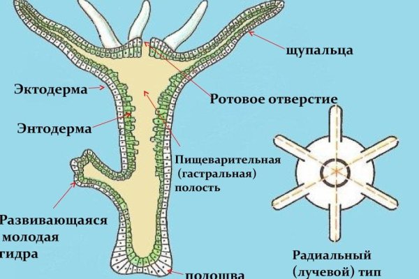 Кракен москва наркотики