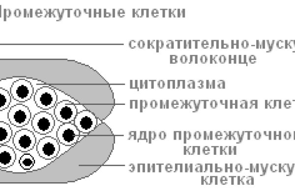 Восстановить аккаунт кракен