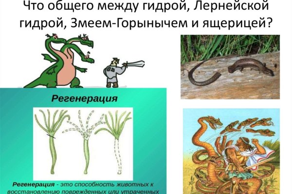 Что продают на кракене