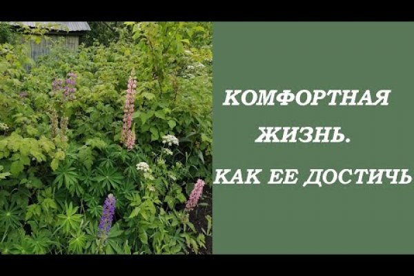 Кракен ссылка