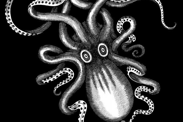 Kraken 13 at com