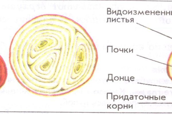 Kraken адрес