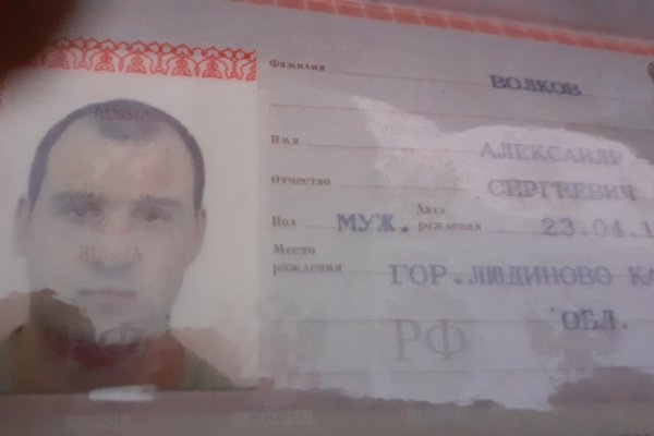 Как найти кракен шоп
