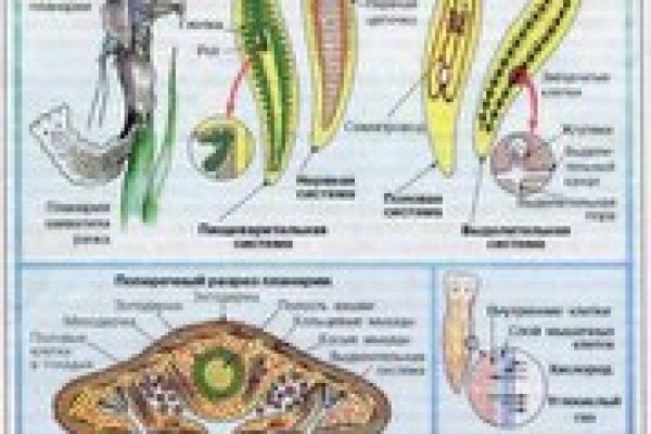 Сайты с наркотиками